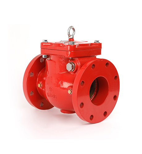 Check Valve